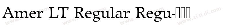 Amer LT Regular Regu字体转换 Amer LT Regular Regu字体转换